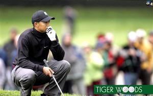 Tiger Woods